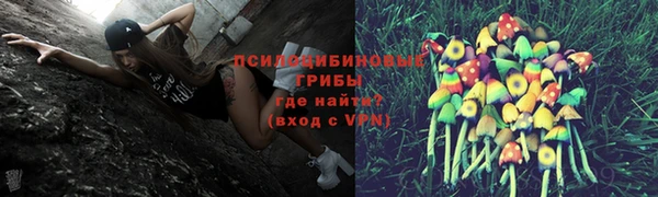 винт Алексеевка