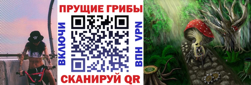 Псилоцибиновые грибы мицелий  Купить где  Среднеуральск 
